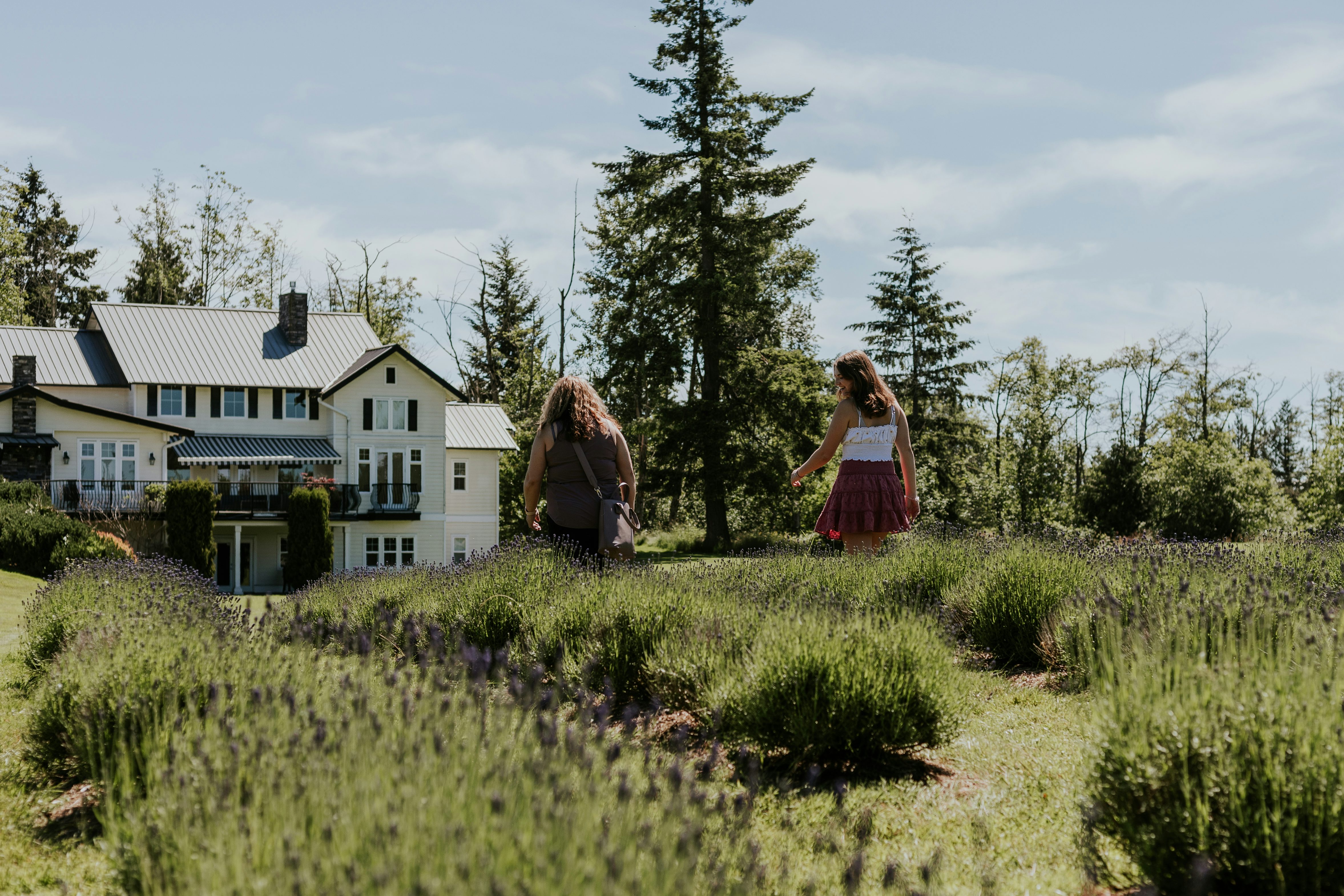 Take a walk at Full Bloom Lavender Farm in Langley, BC