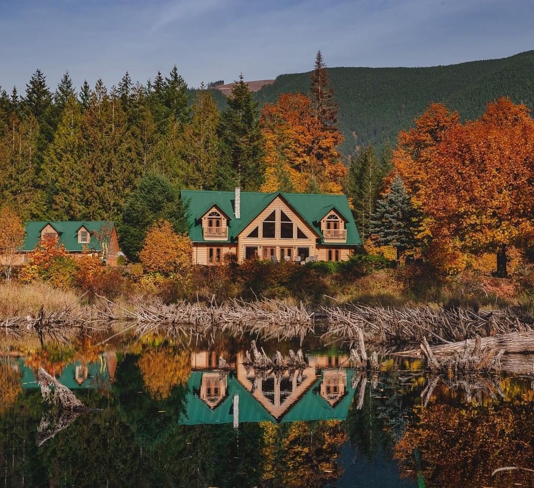 Cozy Cabins In Greater Victoria