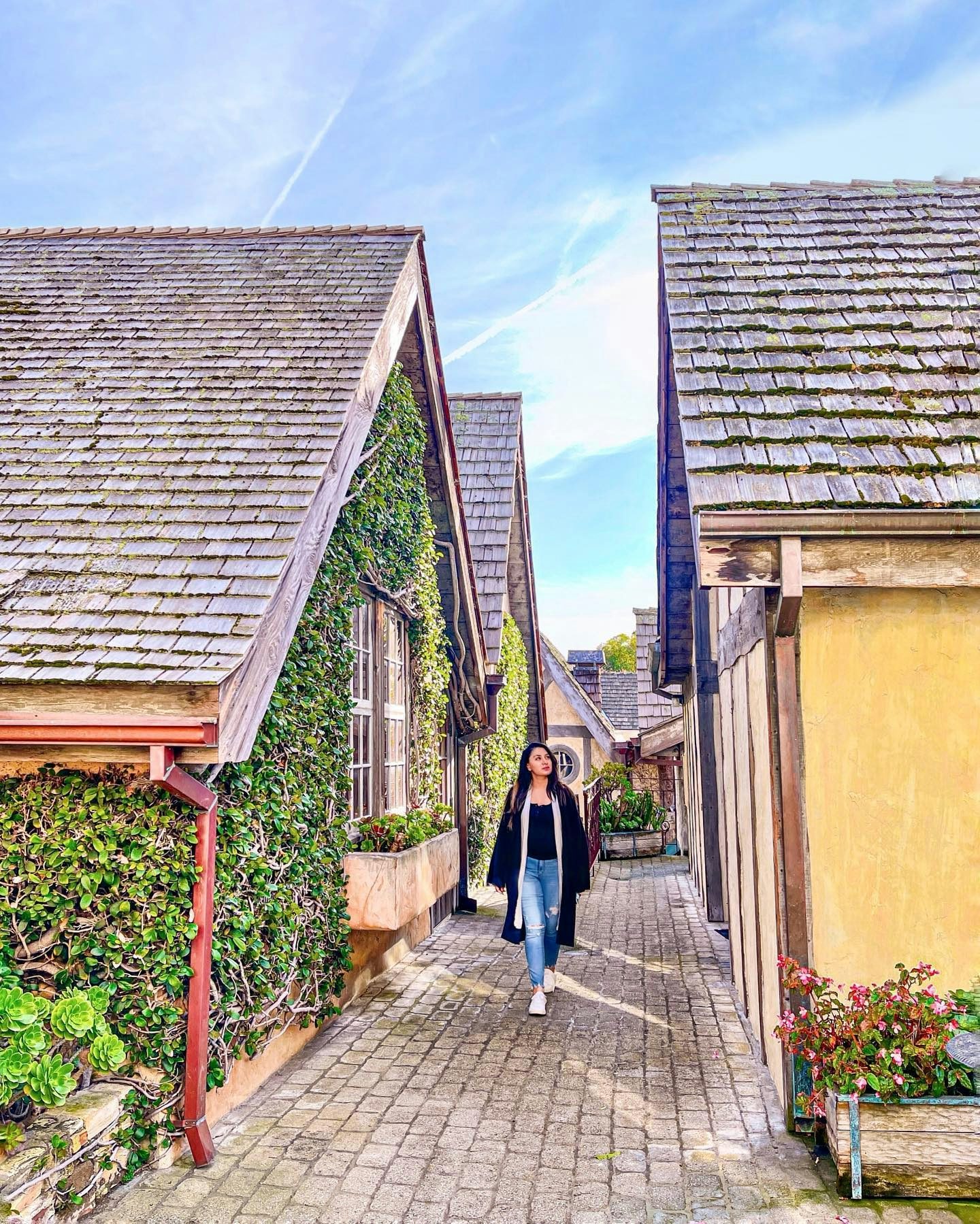 Secret Passageways and Courtyards of Carmel-by-the-Sea, image size:1012x1799