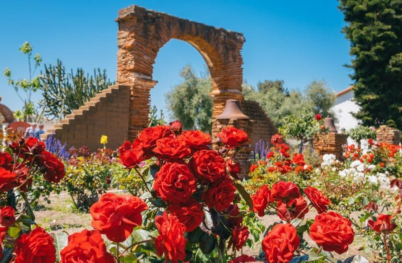 Top 5 Oceanside, CA Flower Shops