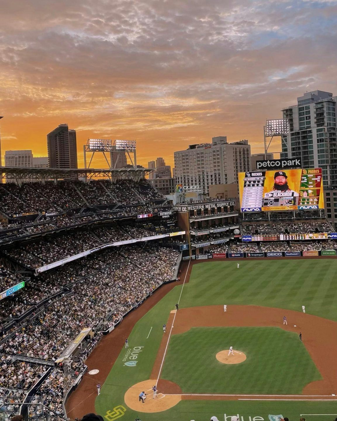 409 Petco Park Stock Photos  Free  RoyaltyFree Stock Photos from  Dreamstime