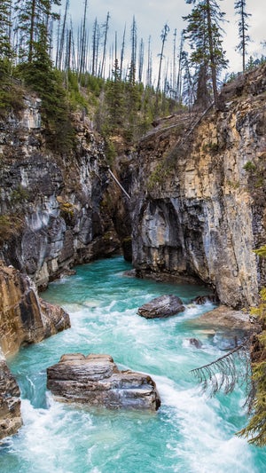 Kootenay National Park Radium Hot Springs Bc