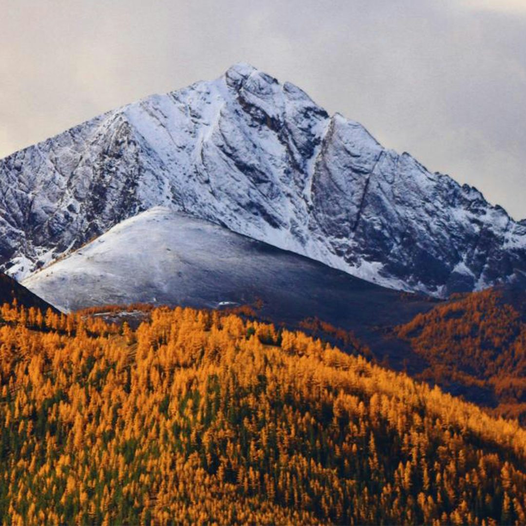 Things to do in Invermere & Panorama this Weekend